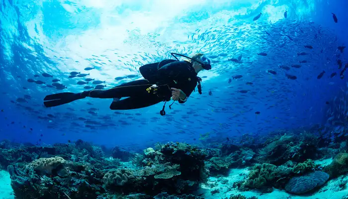 Cover-image-of-Scuba-Diving-in-netrani-island